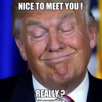 NICE TO MEET YOU !REALLY ?