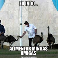 EU INDO...ALIMENTAR MINHAS AMIGAS