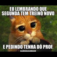 EU LEMBRANDO QUE SEGUNDA TEM TREINO NOVOE PEDINDO TENHA DÓ PROF.
