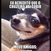 EU ACREDITO QUE O CRUZEIRO VAI SUBIRMEUS AMIGOS: