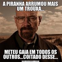 A PIRANHA ARRUMOU MAIS UM TROUXA...METEU GAIA EM TODOS OS OUTROS...COITADO DESSE...