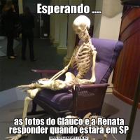 Esperando ....as fotos do Glauco e a Renata responder quando estará em SP