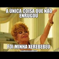 A ÚNICA COISA QUE NÃO ENRUGOU FOI MINHA XEREBEBEU 