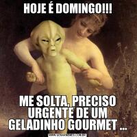 HOJE É DOMINGO!!!ME SOLTA, PRECISO URGENTE DE UM GELADINHO GOURMET ...
