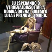 EU ESPERANDO O VERDEVALDO SOLTAR A BOMBA QUE VAI SOLTAR O LULA E PRENDER O MORO.