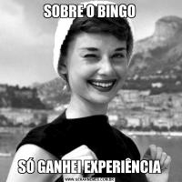 SOBRE O BINGOSÓ GANHEI EXPERIÊNCIA