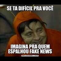 SE TA DIFÍCIL PRA VOCÊIMAGINA PRA QUEM ESPALHOU FAKE NEWS