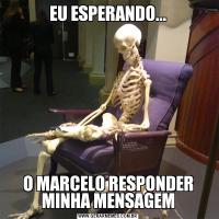 EU ESPERANDO...O MARCELO RESPONDER MINHA MENSAGEM