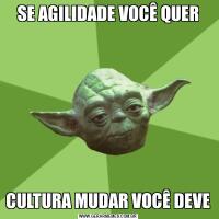 SE AGILIDADE VOCÊ QUERCULTURA MUDAR VOCÊ DEVE