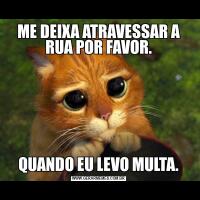 ME DEIXA ATRAVESSAR A RUA POR FAVOR.QUANDO EU LEVO MULTA.