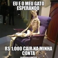 EU E O MEU GATO ESPERANDO R$ 1.000 CAIR NA MINHA CONTA