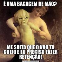 É UMA BAGAGEM DE MÃO? 
ME SOLTA QUE O VOO TÁ CHEIO E EU PRECISO FAZER RETENÇÃO!