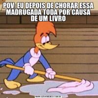 POV: EU DEPOIS DE CHORAR ESSA MADRUGADA TODA POR CAUSA DE UM LIVRO