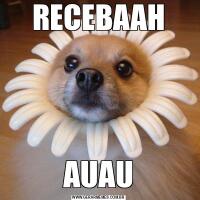 RECEBAAHAUAU
