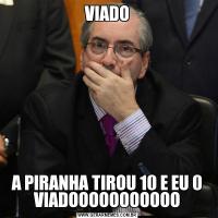 VIADOA PIRANHA TIROU 10 E EU 0 VIADOOOOOOOOOOO