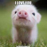 I LOVE YOU