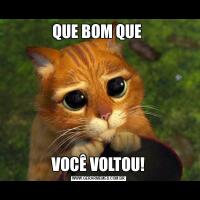 QUE BOM QUE VOCÊ VOLTOU!