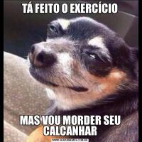 TÁ FEITO O EXERCÍCIOMAS VOU MORDER SEU CALCANHAR