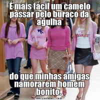  É mais fácil um camelo passar pelo buraco da agulhado que minhas amigas namorarem homem bonito. 