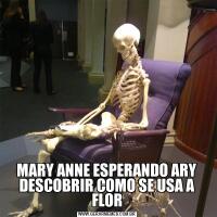 MARY ANNE ESPERANDO ARY DESCOBRIR COMO SE USA A FLOR