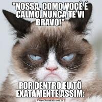 &QUOT;NOSSA, COMO VOCÊ É CALMO, NUNCA TE VI BRAVO!&QUOT;POR DENTRO EU TÔ EXATAMENTE ASSIM: