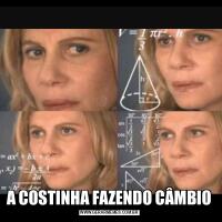 A COSTINHA FAZENDO CÂMBIO