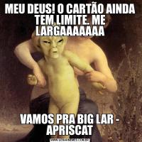 MEU DEUS! O CARTÃO AINDA TEM LIMITE. ME LARGAAAAAAAVAMOS PRA BIG LAR - APRISCAT