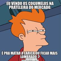 EU VENDO OS COGUMELOS NA PRATELEIRA DO MERCADO.É PRA MATAR A LARICA OU FICAR MAIS  LOMBRADO ?