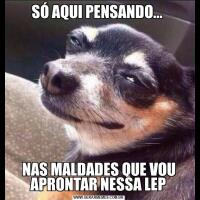 SÓ AQUI PENSANDO... NAS MALDADES QUE VOU APRONTAR NESSA LEP