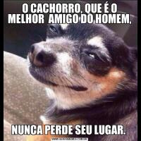 O CACHORRO, QUE É O MELHOR  AMIGO DO HOMEM, NUNCA PERDE SEU LUGAR. 