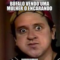 BÚFALO VENDO UMA MULHER O ENCARANDO