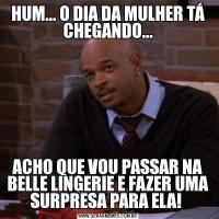 HUM... O DIA DA MULHER TÁ CHEGANDO...ACHO QUE VOU PASSAR NA BELLE LINGERIE E FAZER UMA SURPRESA PARA ELA! 