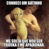 CONHECI UM GATINHOME SOLTA QUE VOU SER TROUXA E ME APAIXONAR.