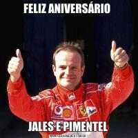 FELIZ ANIVERSÁRIO JALES E PIMENTEL