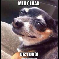 MEU OLHAR DIZ TUDO!