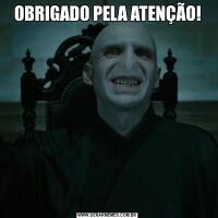 OBRIGADO PELA ATENÇÃO!