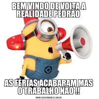 BEM VINDO DE VOLTA A REALIDADE PEDRÃO AS FÉRIAS ACABARAM MAS O TRABALHO NÃO !!