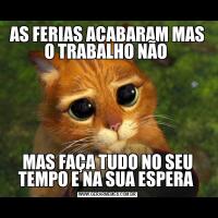 AS FERIAS ACABARAM MAS O TRABALHO NÃO MAS FAÇA TUDO NO SEU TEMPO E NA SUA ESPERA 