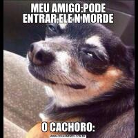 MEU AMIGO:PODE ENTRAR,ELE N MORDEO CACHORO: