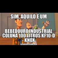 SIM, AQUILO É UMBEBEDOURO INDUSTRIAL COLUNA 100 LITROS KF10-D - KNOX