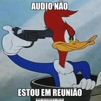 AUDIO NÃOESTOU EM REUNIÃO