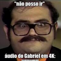 "não posso ir" áudio do Gabriel em 4K: