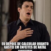EU DEPOIS DE CALCULAR QUANTO GASTEI EM ENFEITES DE NATAL