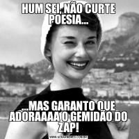 HUM SEI, NÃO CURTE POESIA......MAS GARANTO QUE ADORAAAA O GEMIDÃO DO ZAP!