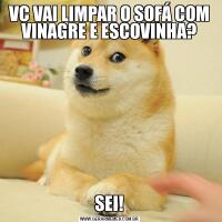 VC VAI LIMPAR O SOFÁ COM VINAGRE E ESCOVINHA?SEI!