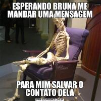 ESPERANDO BRUNA ME MANDAR UMA MENSAGEMPARA MIM SALVAR O CONTATO DELA