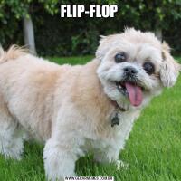 FLIP-FLOP