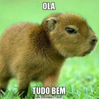 OLATUDO BEM