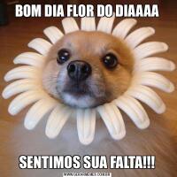 BOM DIA FLOR DO DIAAAASENTIMOS SUA FALTA!!!