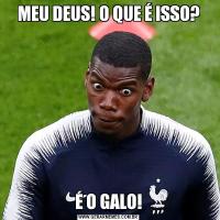 MEU DEUS! O QUE É ISSO?É O GALO!